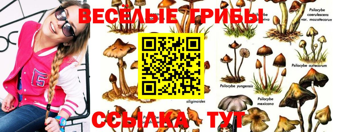 Псилоцибиновые грибы мицелий  Вход с VPN  Гурьевск 